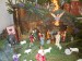 DSCN0954